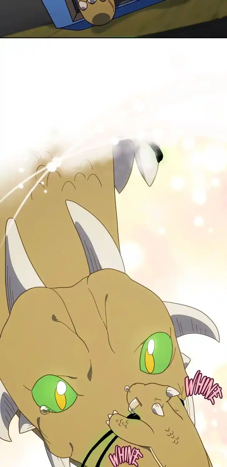 An Animal Hospital in the Border Area Ch.127