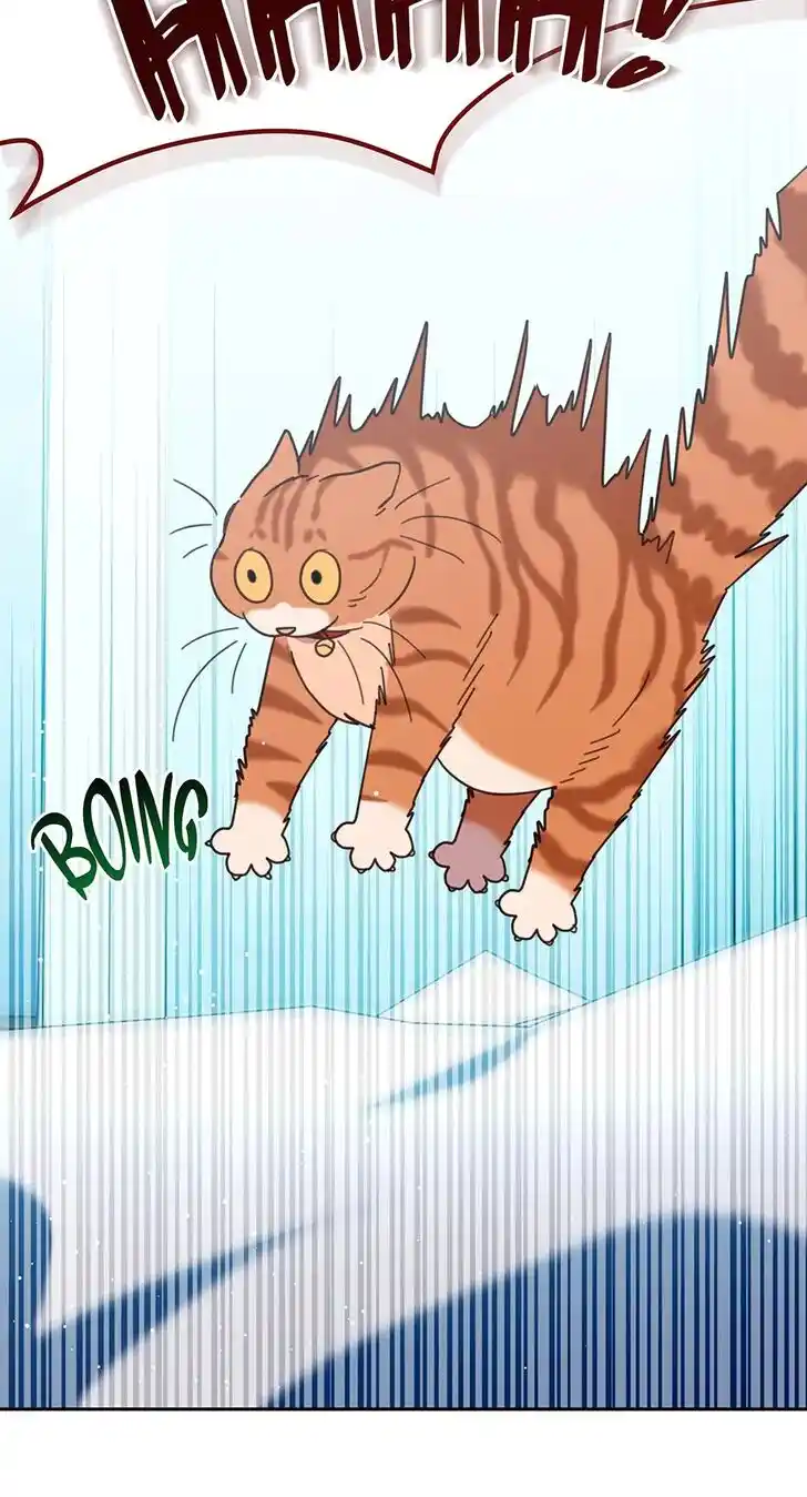 An Animal Hospital in the Border Area Ch.128