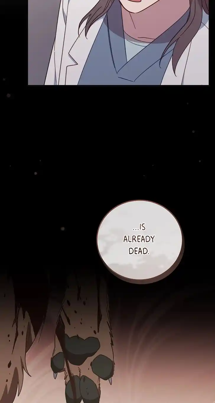 An Animal Hospital in the Border Area Ch.132