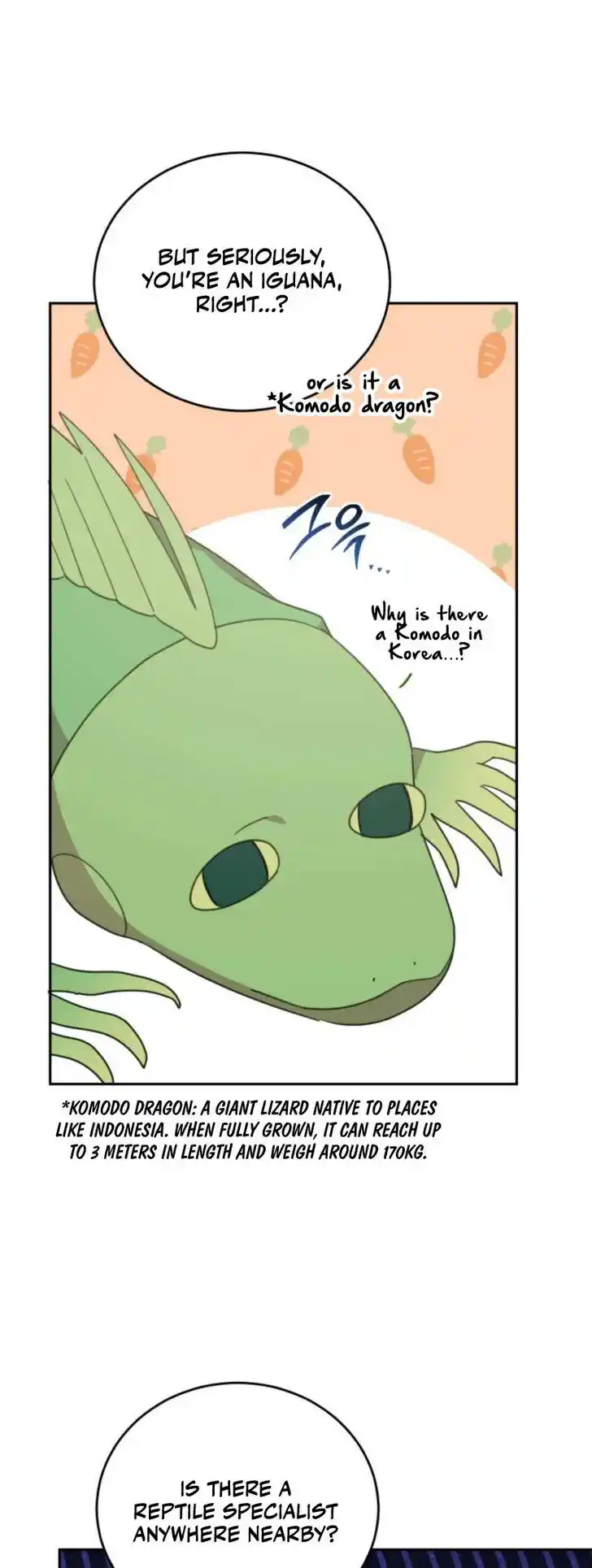 An Animal Hospital in the Border Area Ch.133