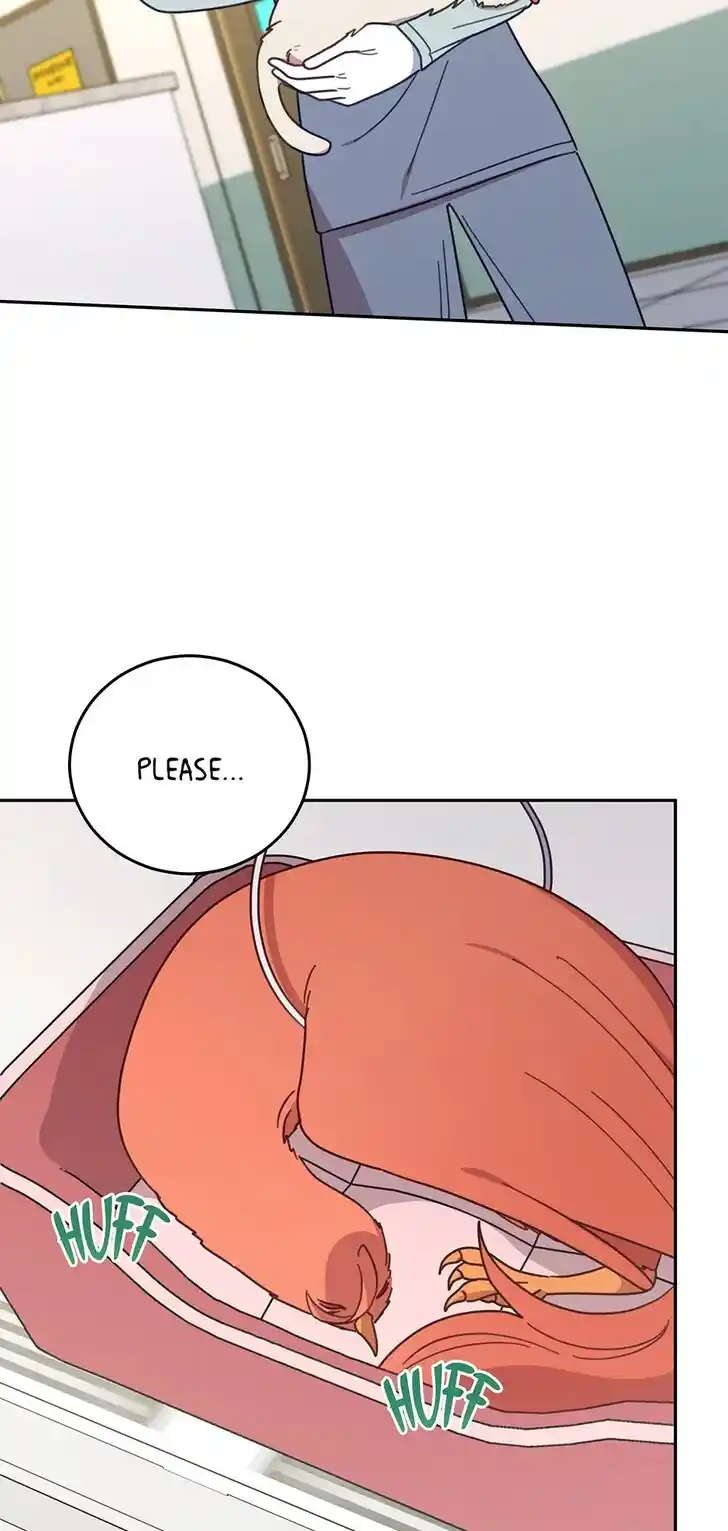 An Animal Hospital in the Border Area Ch.146