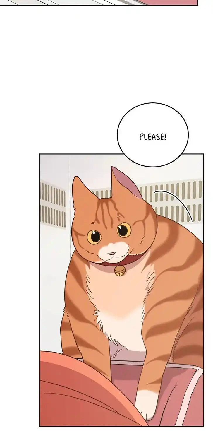 An Animal Hospital in the Border Area Ch.146