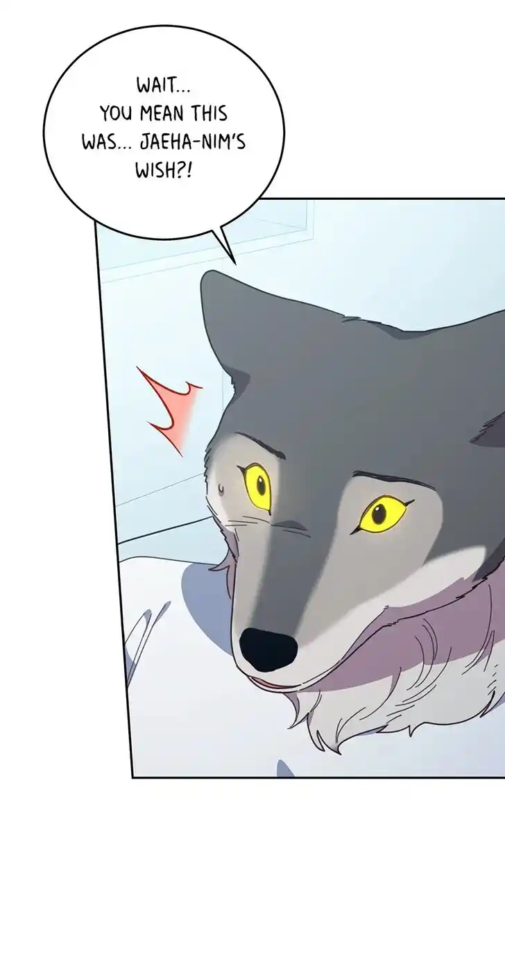 An Animal Hospital in the Border Area Ch.147