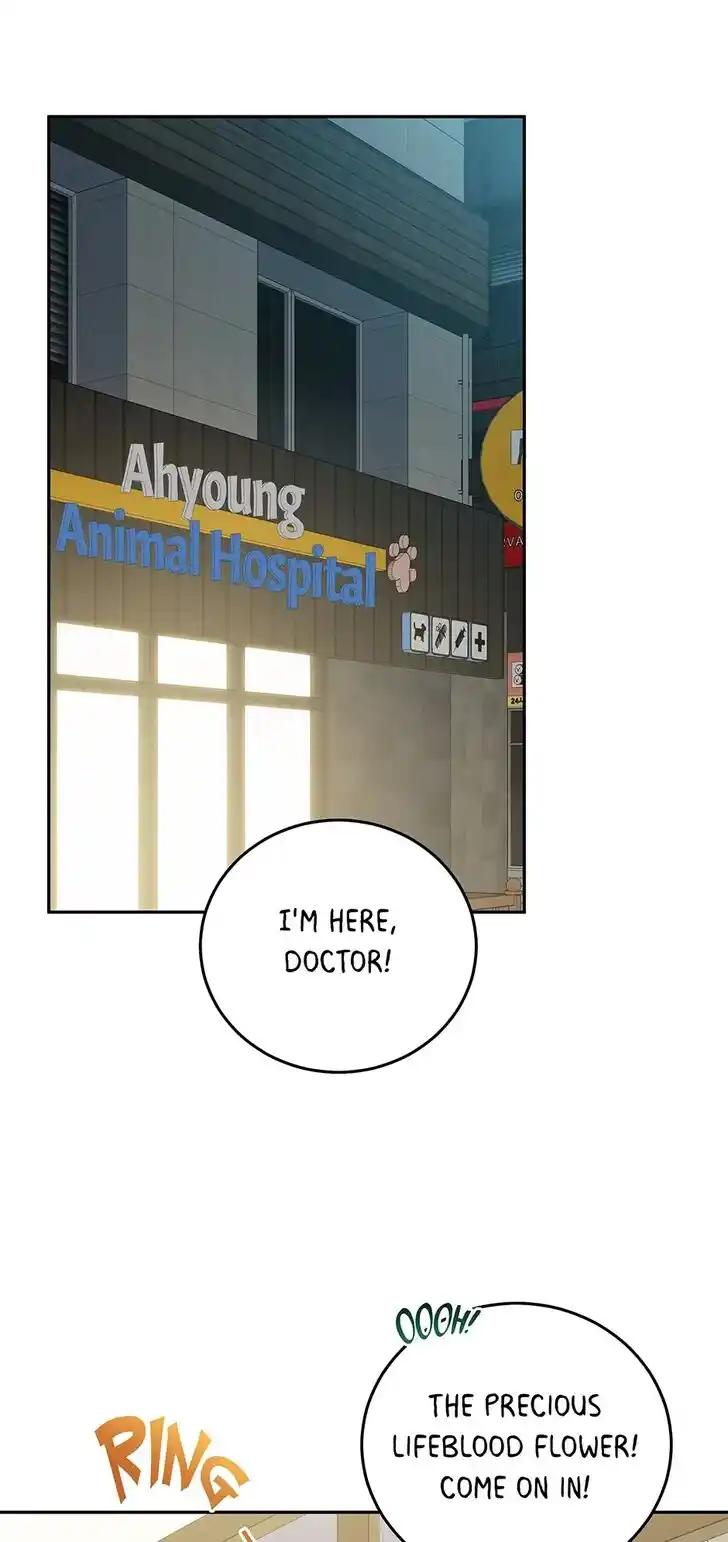 An Animal Hospital in the Border Area Ch.148