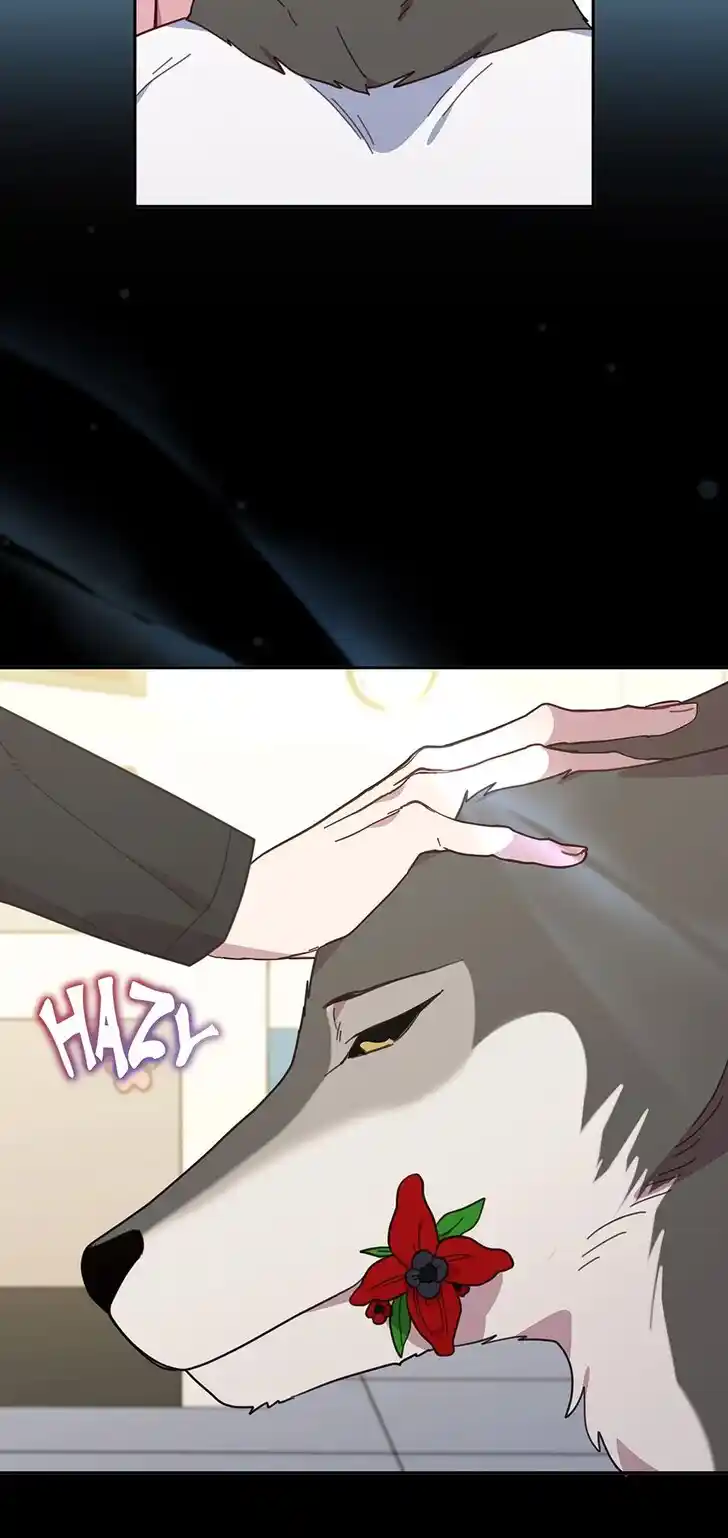 An Animal Hospital in the Border Area Ch.148