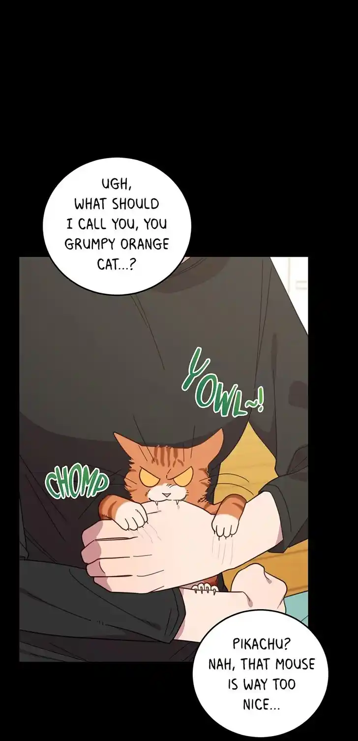 An Animal Hospital in the Border Area Ch.149