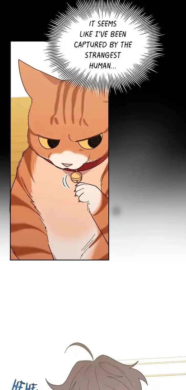 An Animal Hospital in the Border Area Ch.149