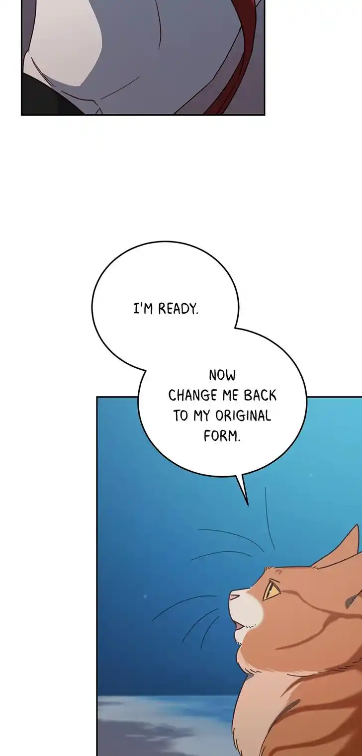 An Animal Hospital in the Border Area Ch.149