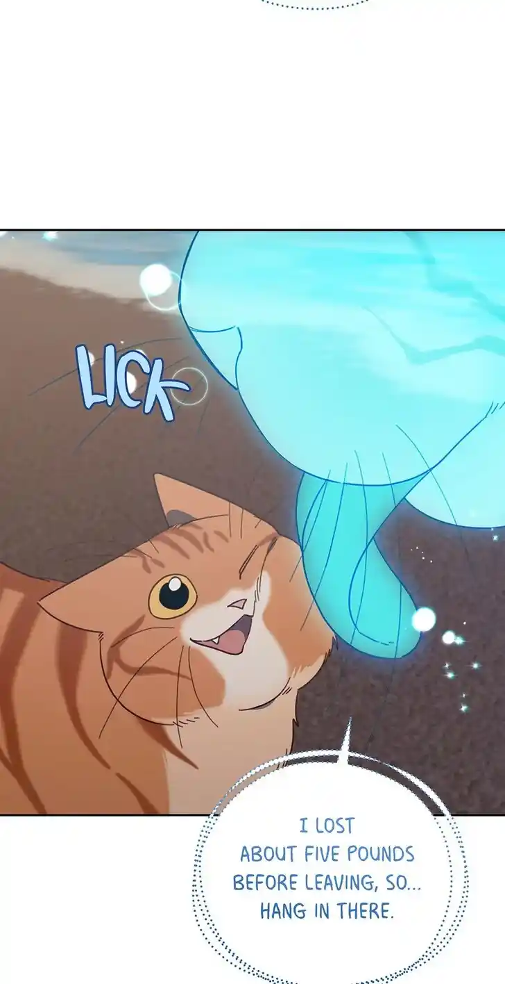 An Animal Hospital in the Border Area Ch.149