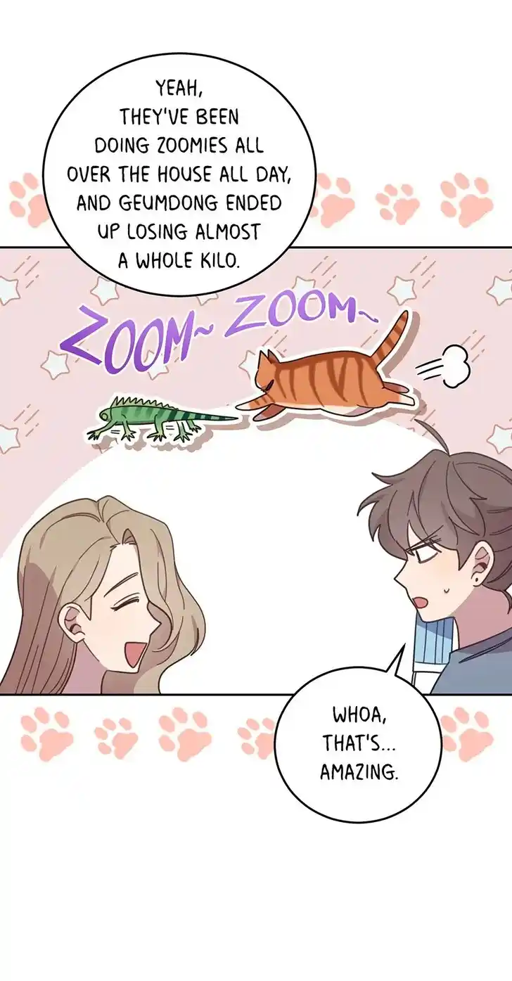 An Animal Hospital in the Border Area Ch.150