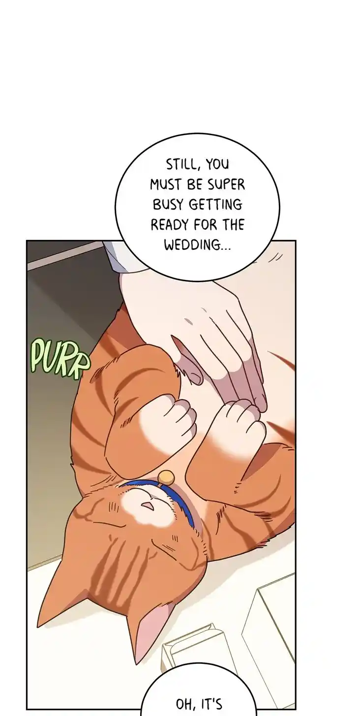 An Animal Hospital in the Border Area Ch.150