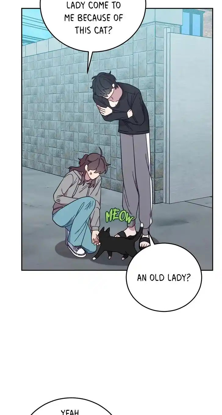 An Animal Hospital in the Border Area Ch.151