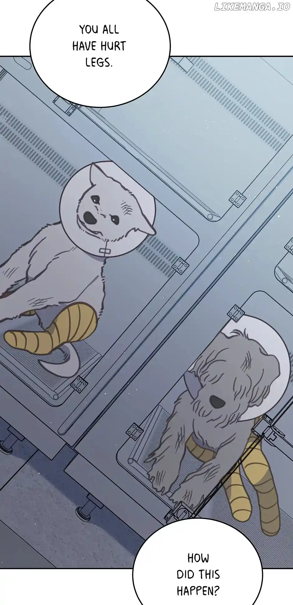 An Animal Hospital in The Border Area Chapter 101