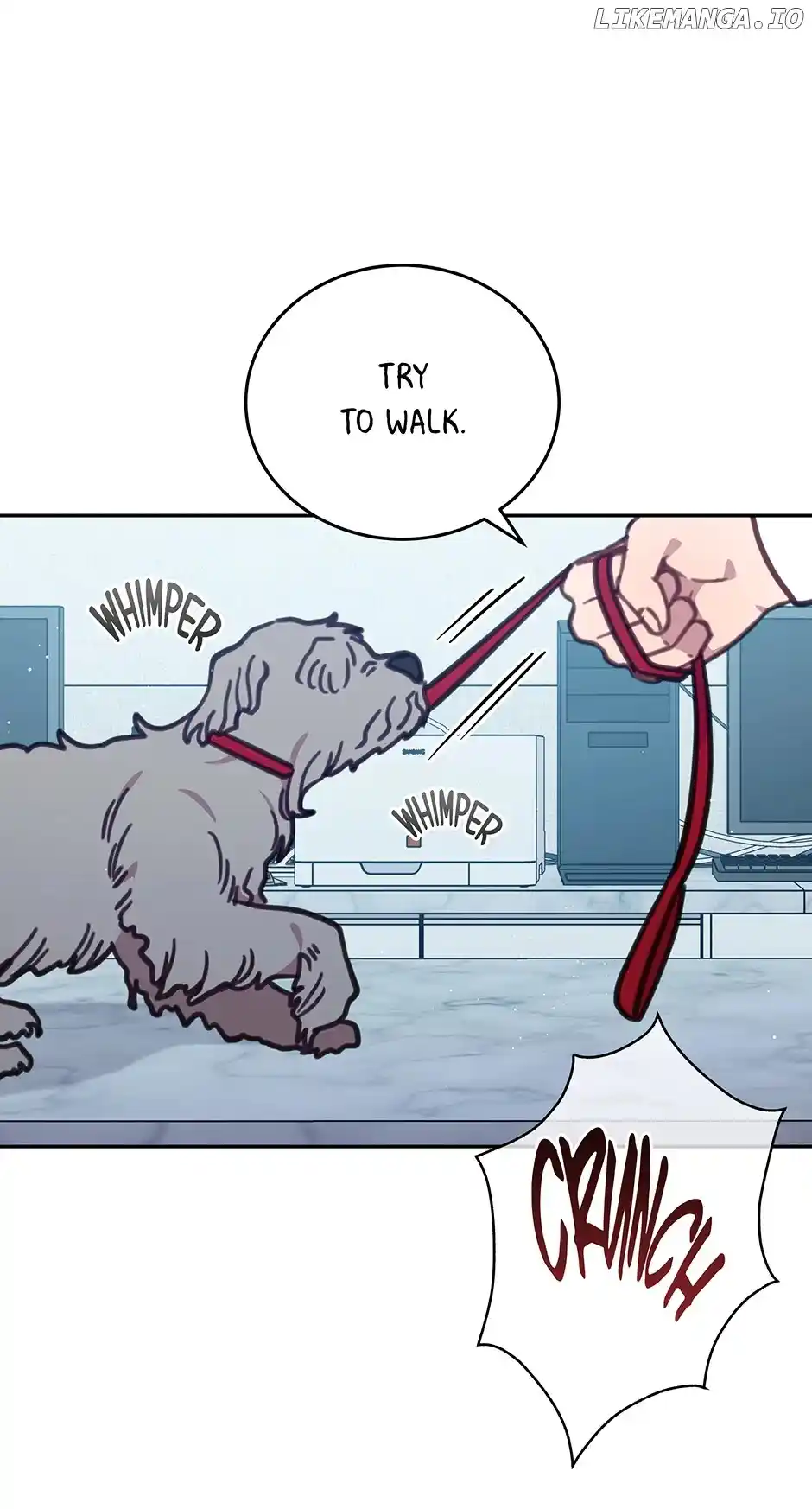 An Animal Hospital in The Border Area Chapter 101