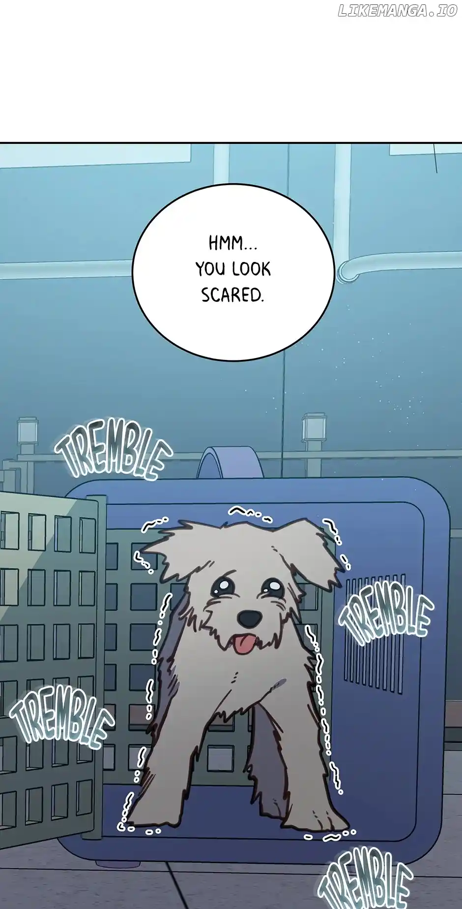 An Animal Hospital in The Border Area Chapter 105