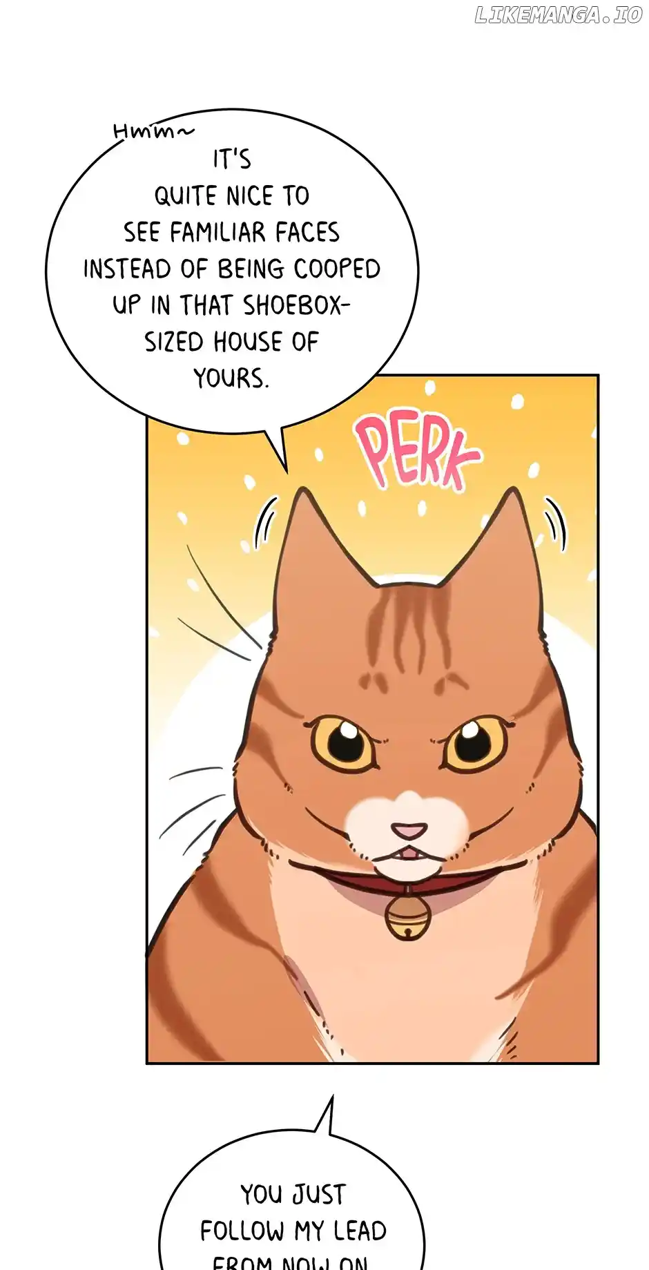 An Animal Hospital in The Border Area Chapter 107