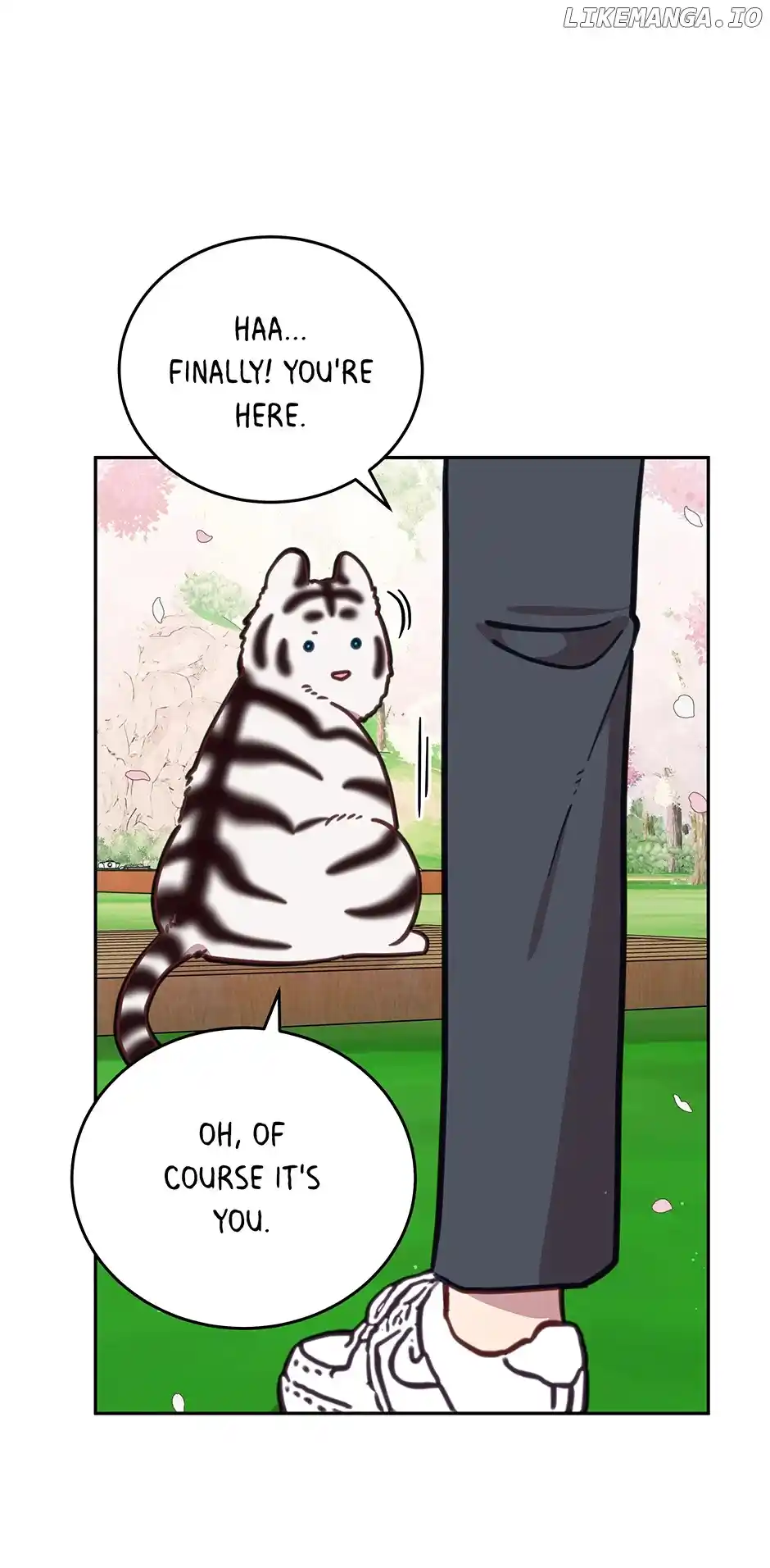 An Animal Hospital in The Border Area Chapter 107