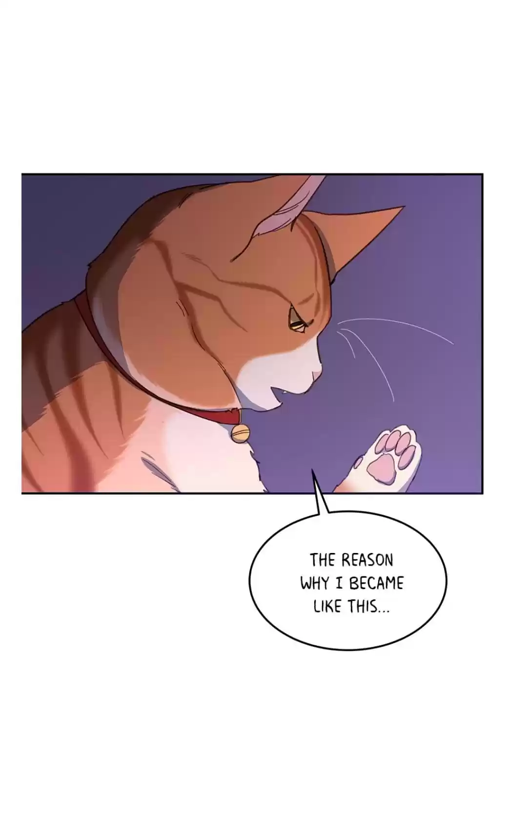 An Animal Hospital In The Border Area Chapter 11