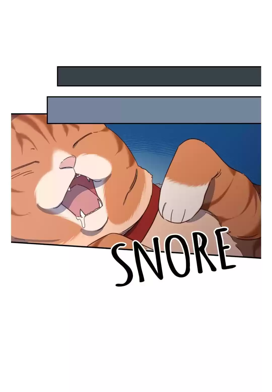 An Animal Hospital In The Border Area Chapter 11