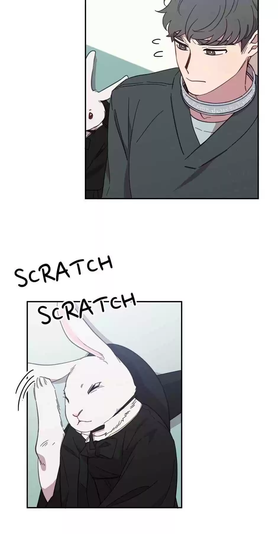 An Animal Hospital In The Border Area Chapter 19