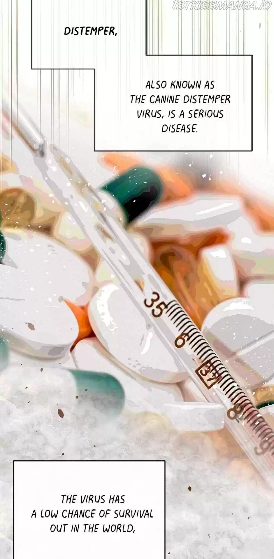 An Animal Hospital In The Border Area Chapter 25