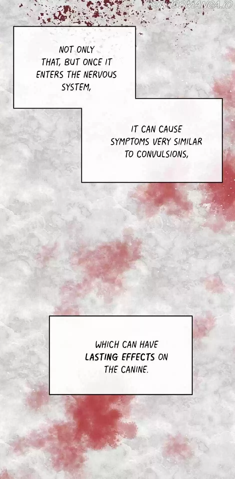 An Animal Hospital In The Border Area Chapter 25