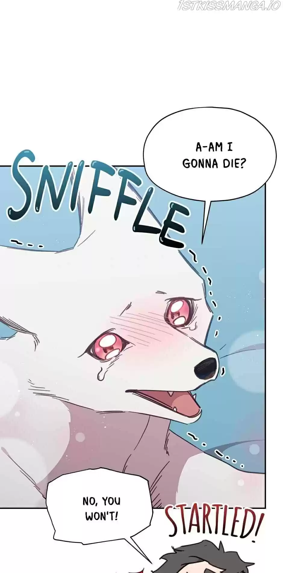 An Animal Hospital In The Border Area Chapter 25