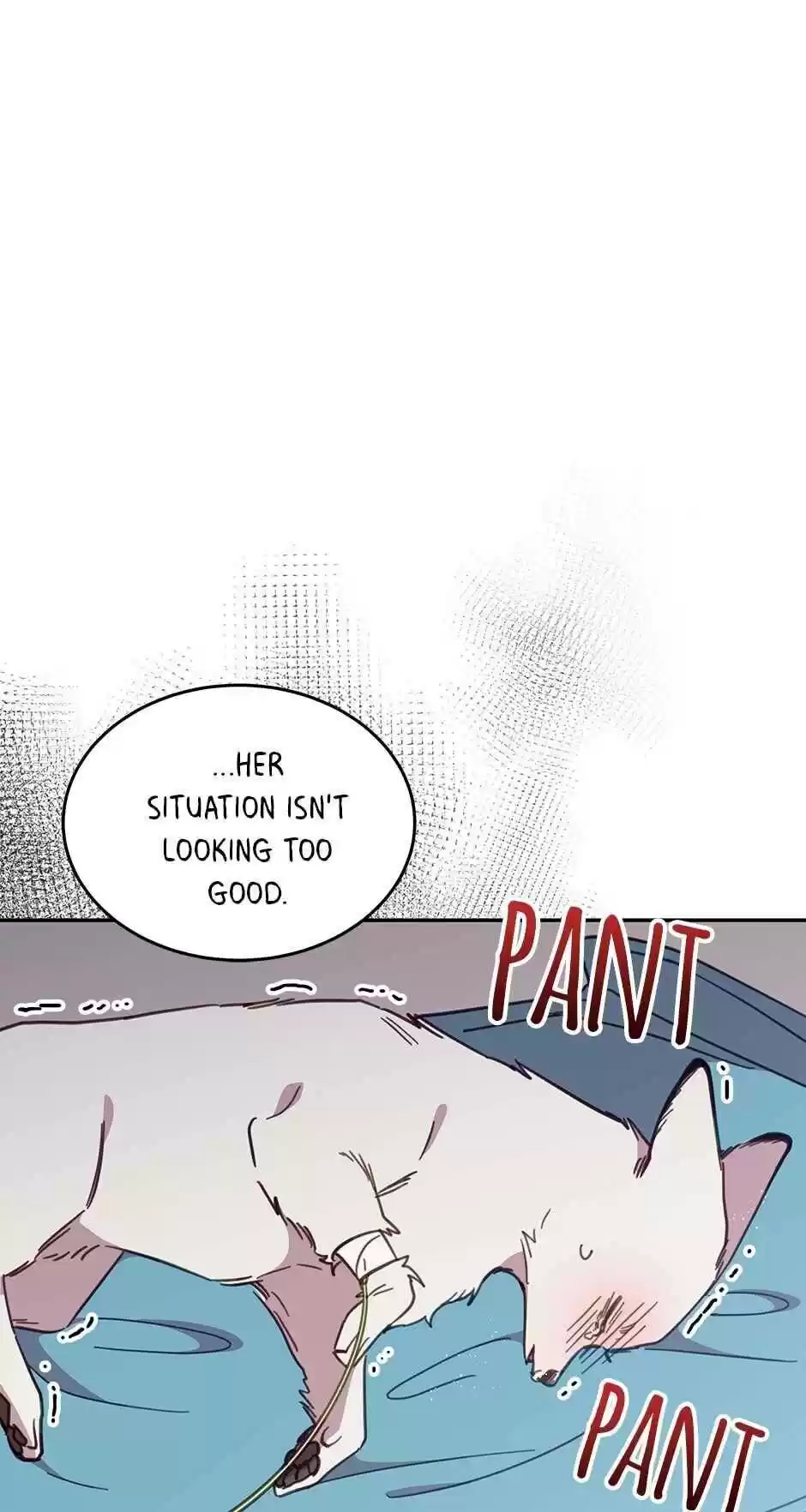 An Animal Hospital In The Border Area Chapter 27