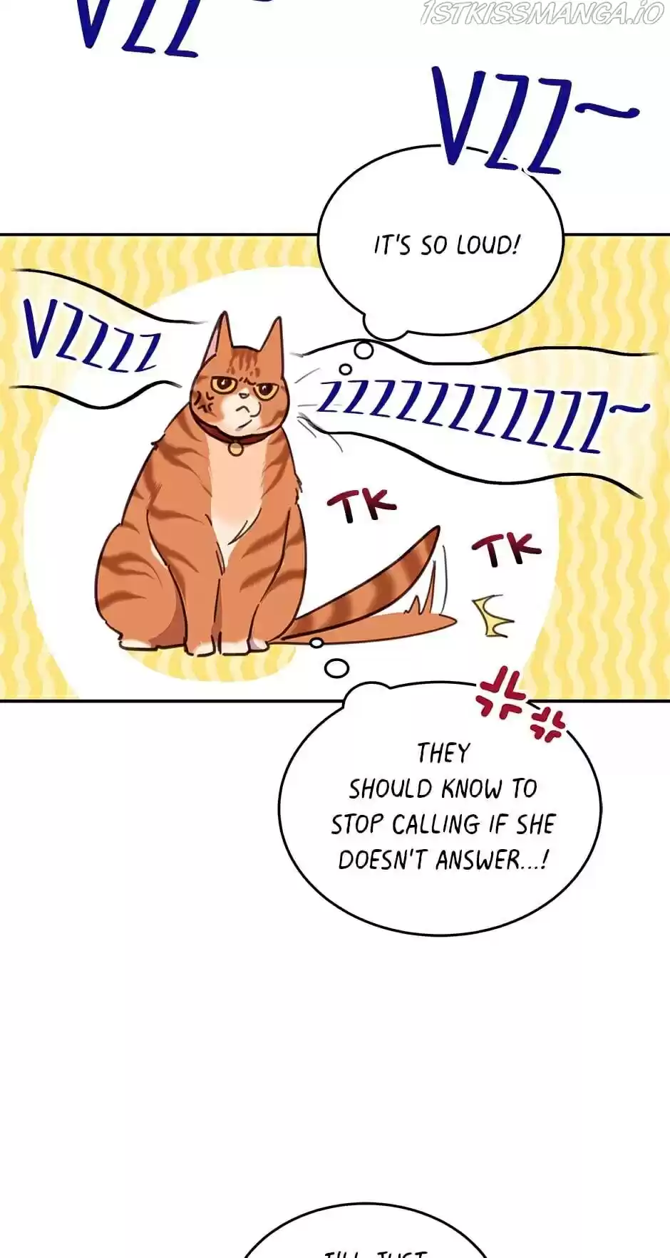 An Animal Hospital In The Border Area Chapter 28