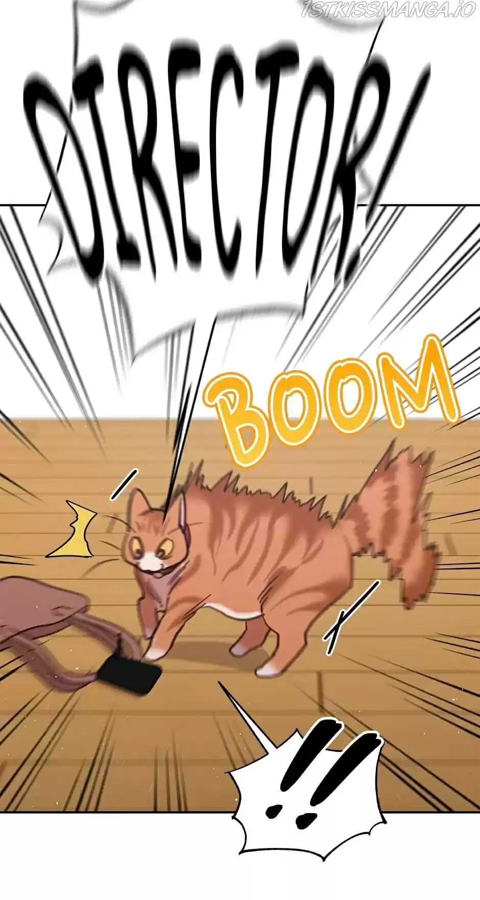 An Animal Hospital In The Border Area Chapter 28