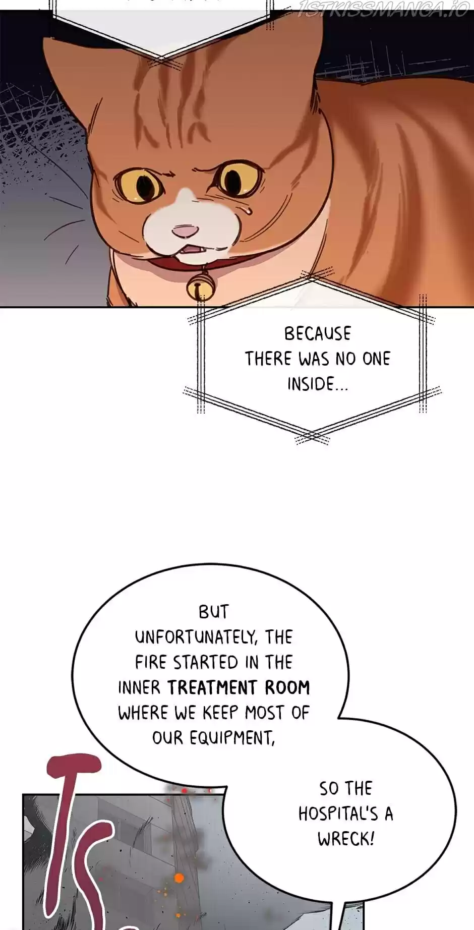 An Animal Hospital In The Border Area Chapter 28