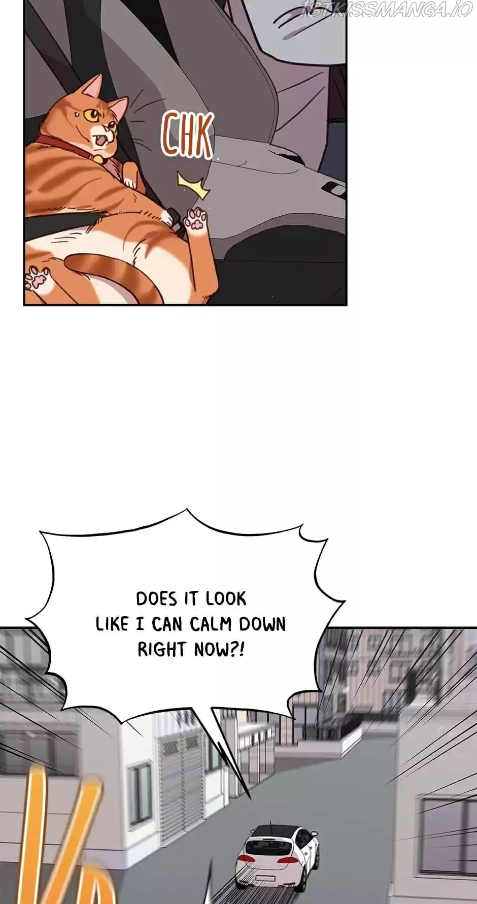 An Animal Hospital In The Border Area Chapter 28