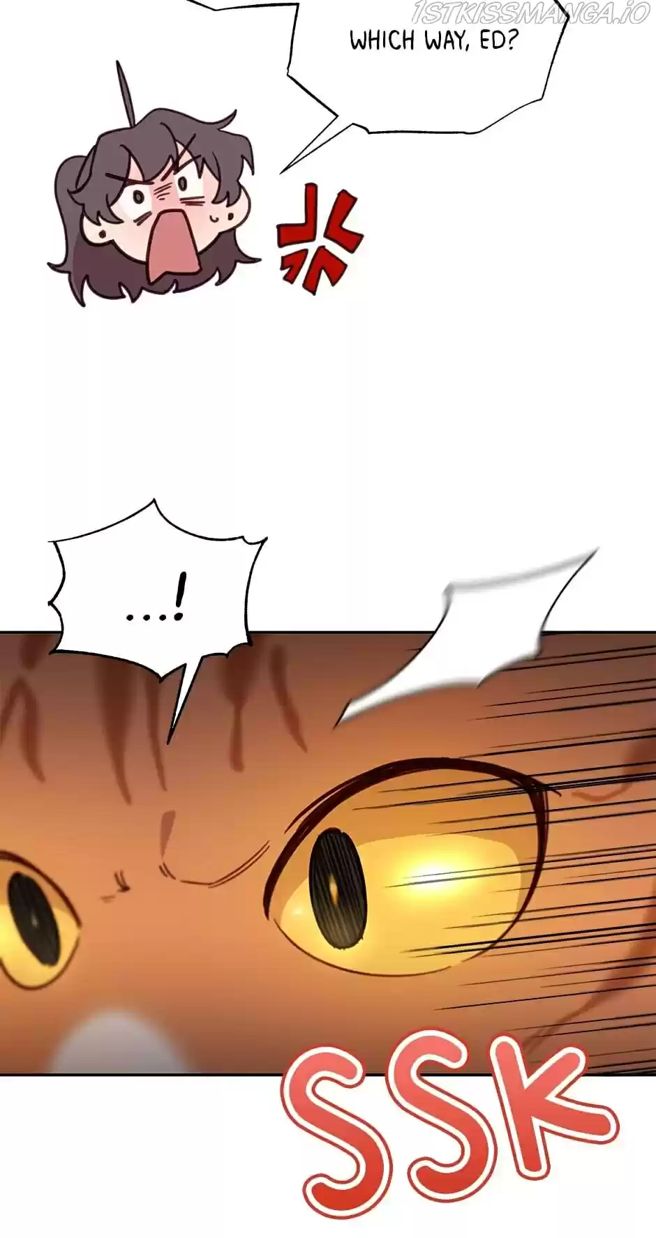 An Animal Hospital In The Border Area Chapter 28