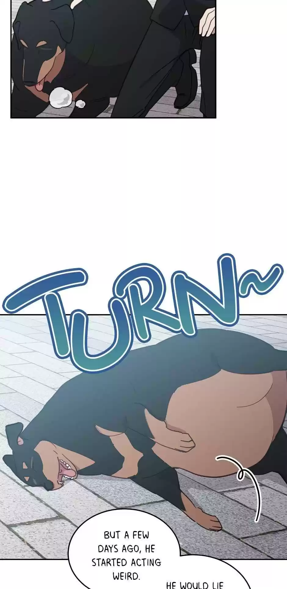 An Animal Hospital In The Border Area Chapter 32