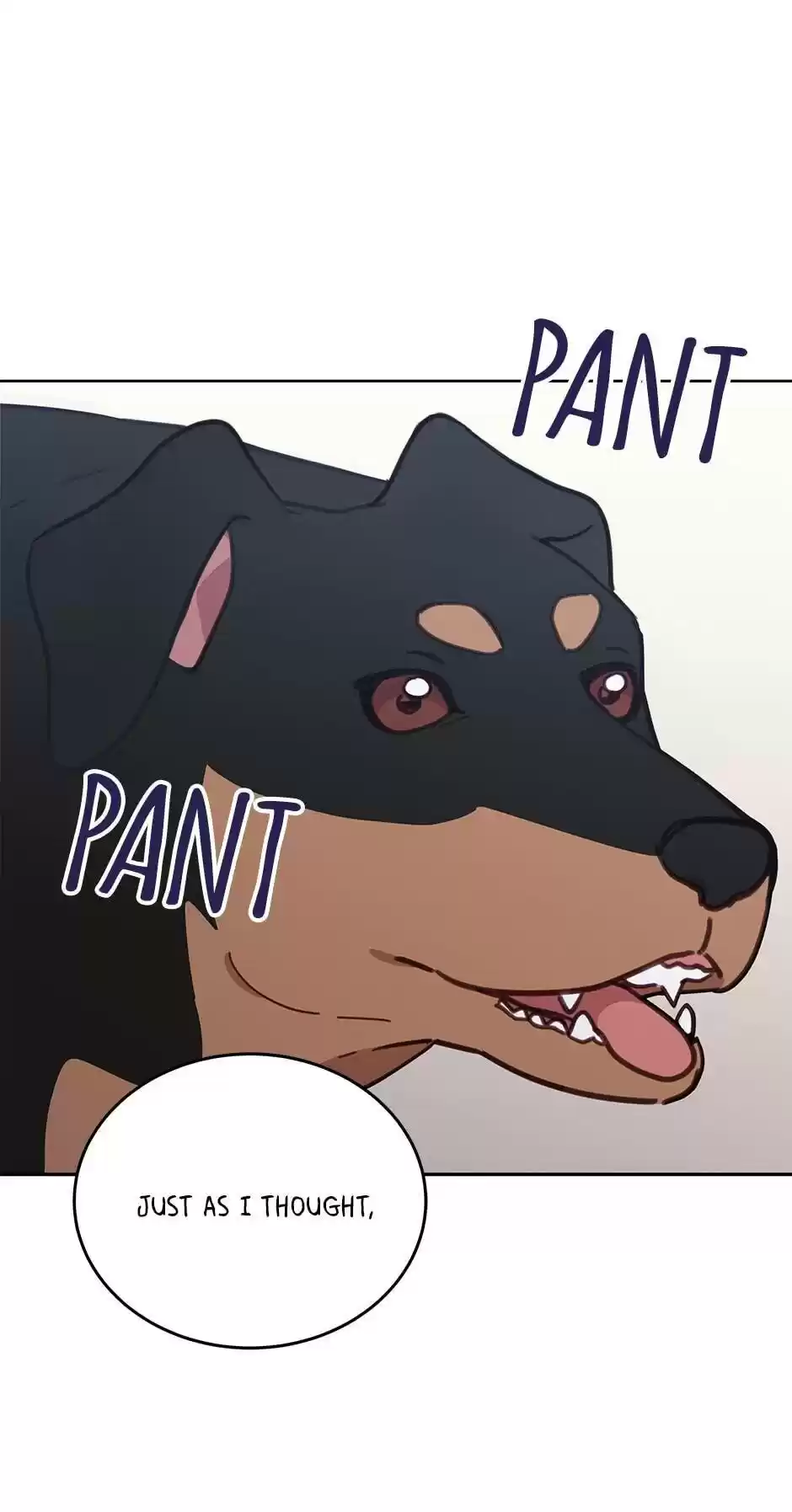 An Animal Hospital In The Border Area Chapter 33