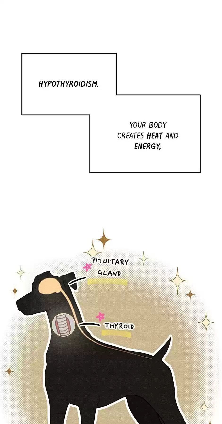 An Animal Hospital In The Border Area Chapter 33