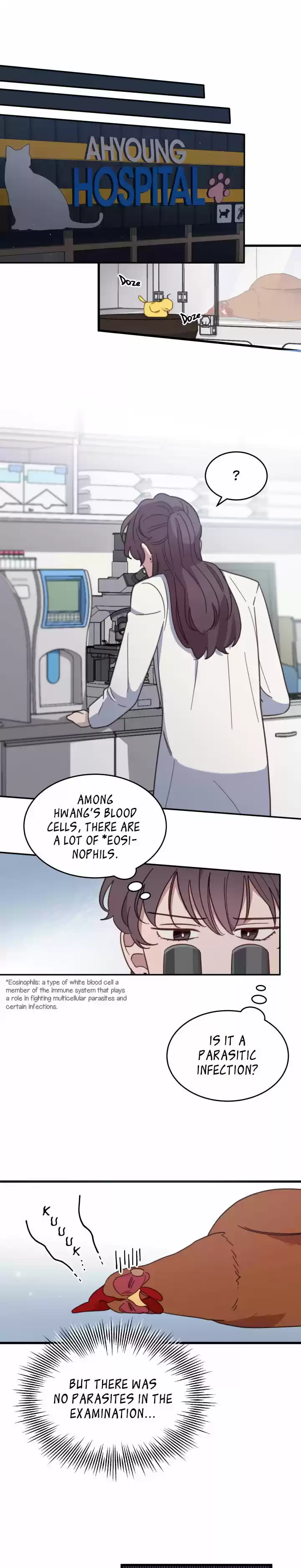 An Animal Hospital In The Border Area Chapter 4