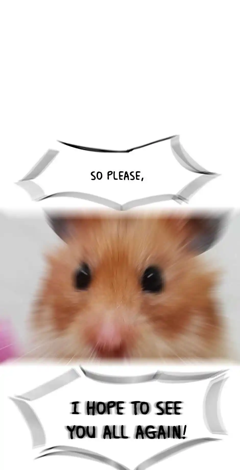 An Animal Hospital In The Border Area Chapter 46