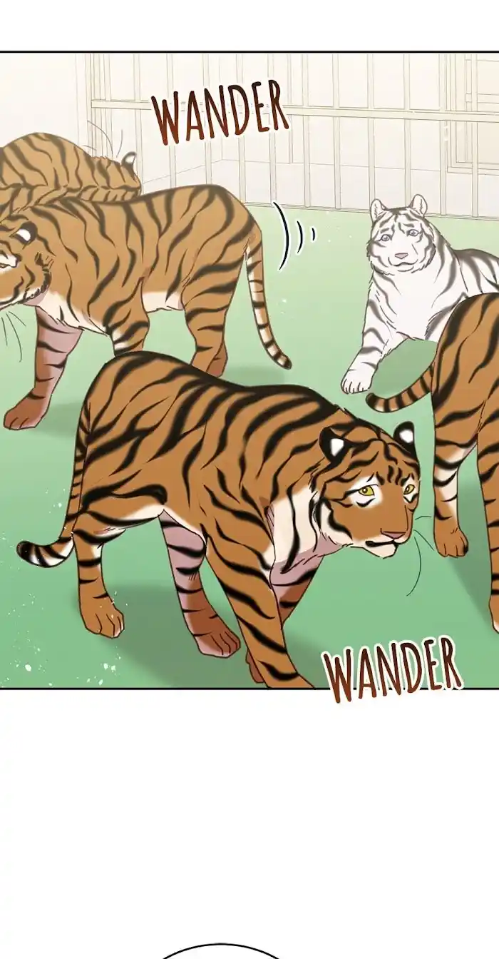 An Animal Hospital In The Border Area Chapter 54