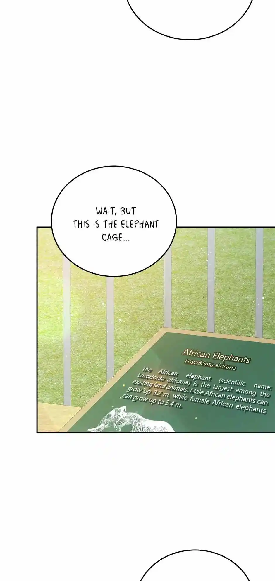 An Animal Hospital In The Border Area Chapter 55