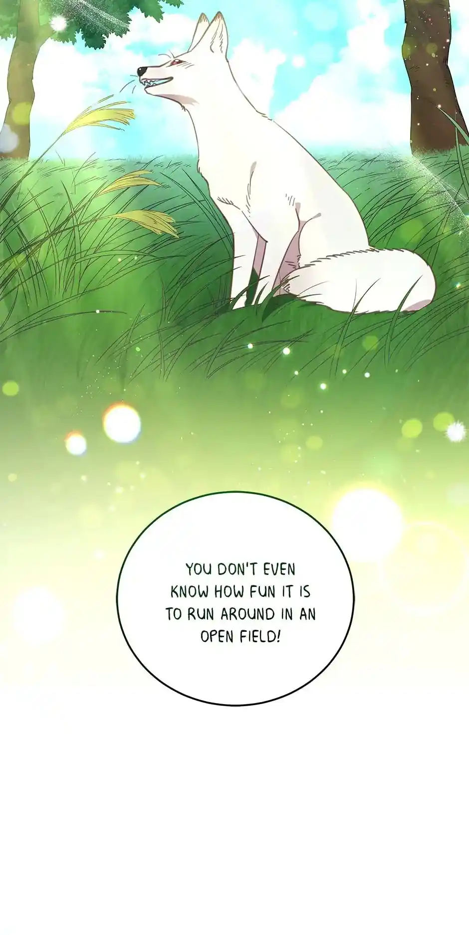 An Animal Hospital In The Border Area Chapter 57