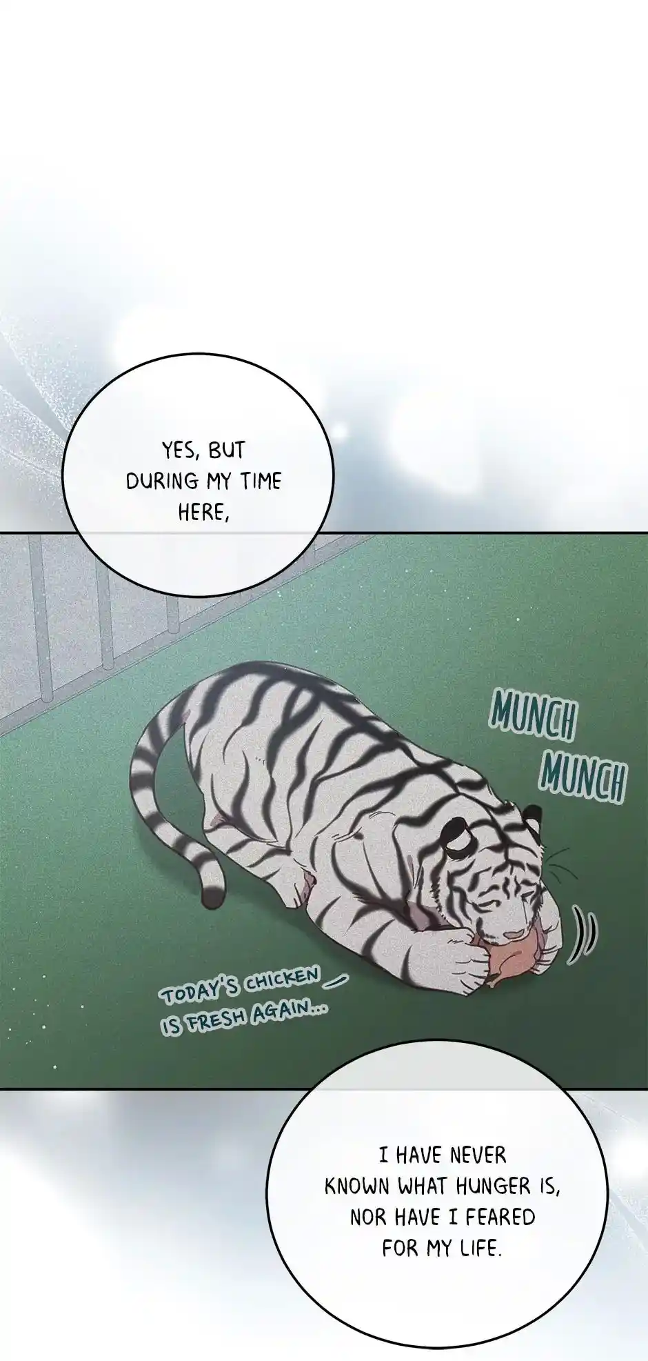 An Animal Hospital In The Border Area Chapter 57