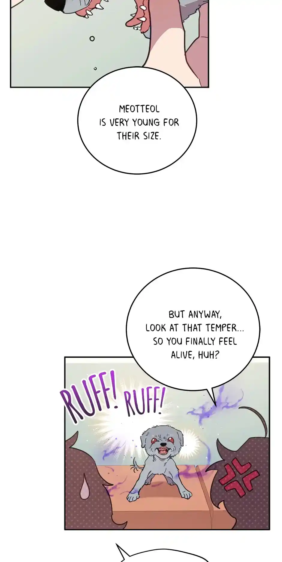 An Animal Hospital In The Border Area Chapter 65