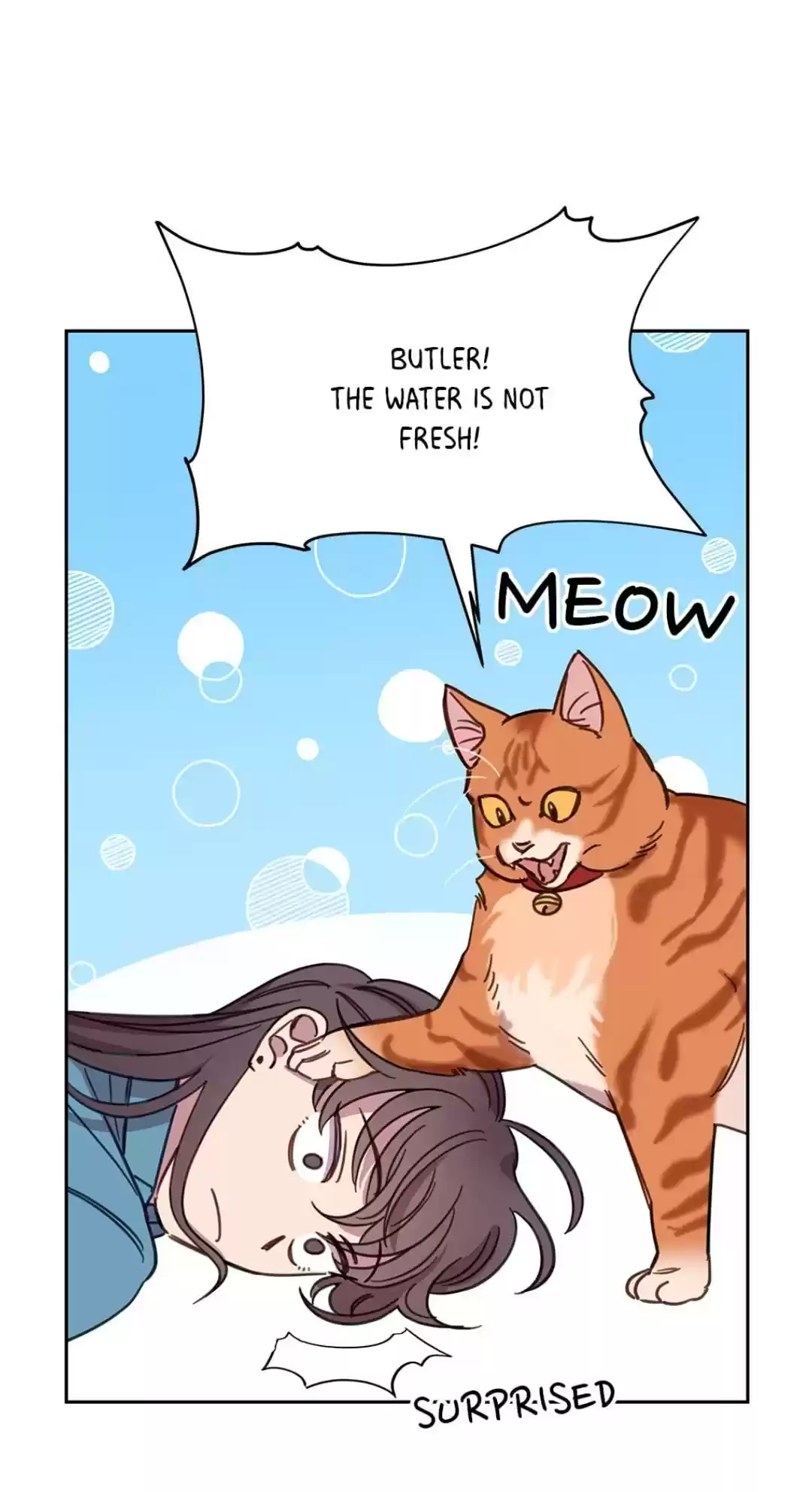 An Animal Hospital In The Border Area Chapter 7