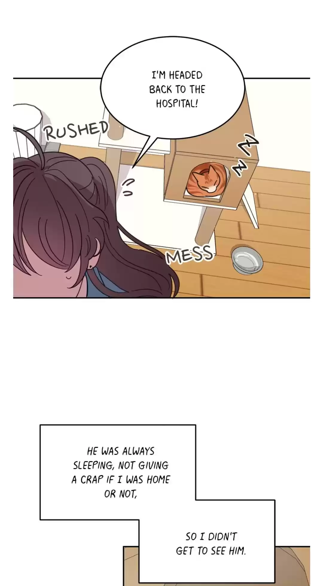 An Animal Hospital In The Border Area Chapter 7