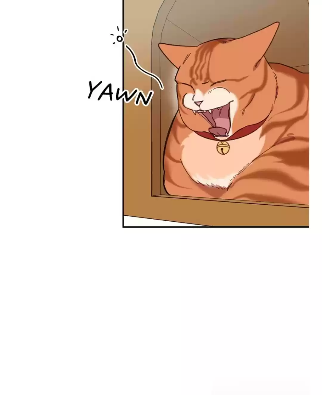 An Animal Hospital In The Border Area Chapter 7