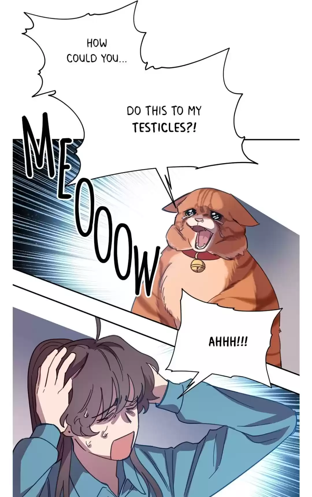 An Animal Hospital In The Border Area Chapter 7