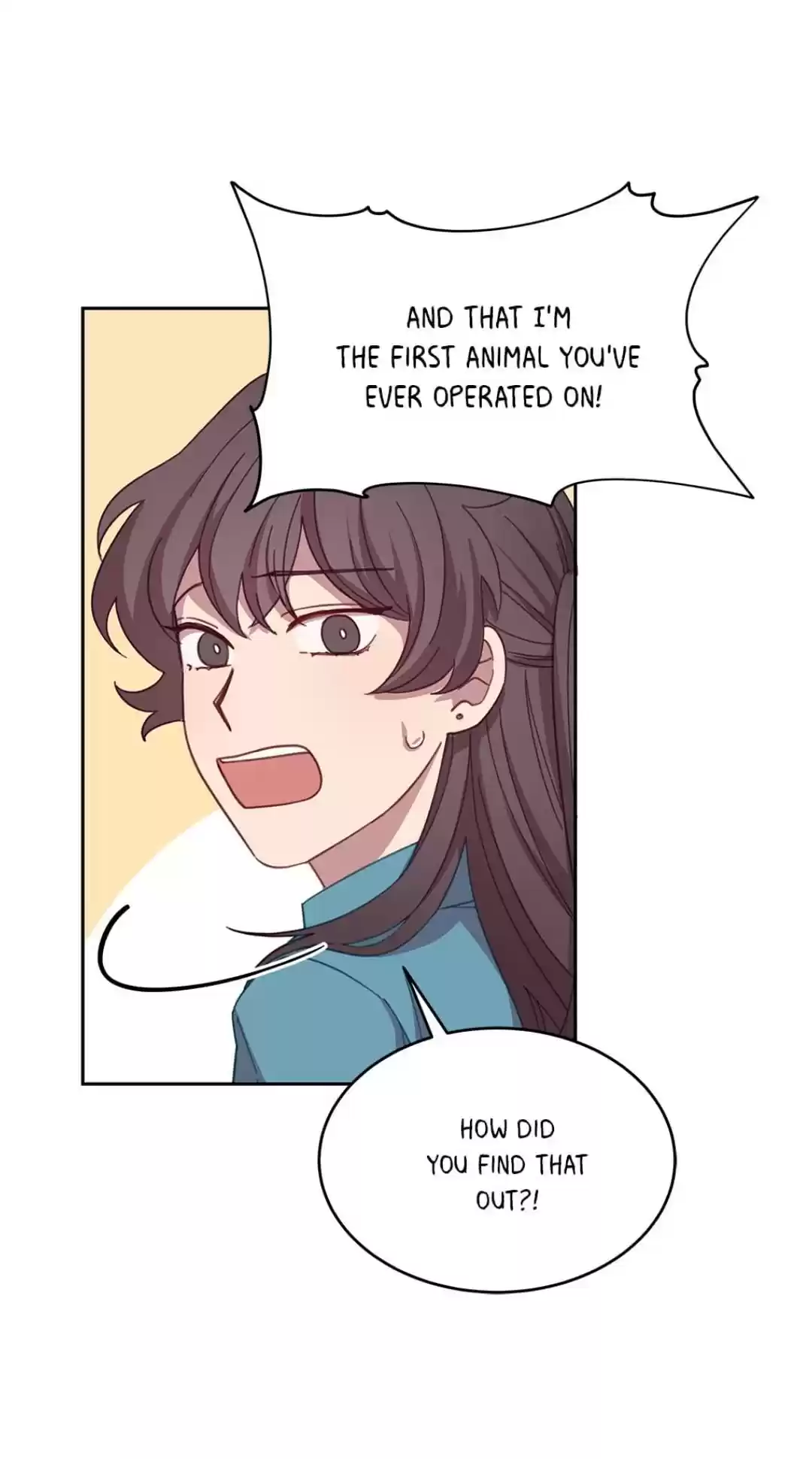 An Animal Hospital In The Border Area Chapter 7