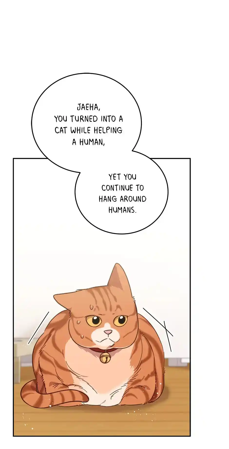 An Animal Hospital in The Border Area Chapter 74