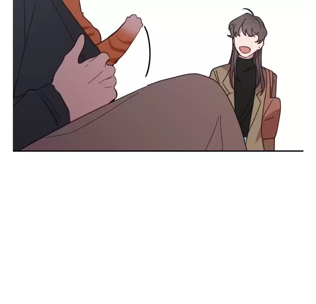 An Animal Hospital In The Border Area Chapter 8